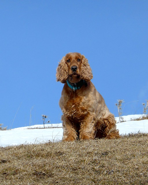 Max on a Mountain.