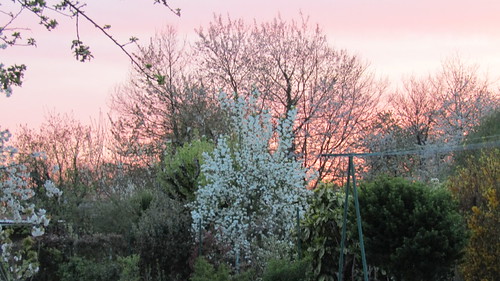 April sunset by *SHERWOOD*,                                france vendée larochesuryon home garden eveningsky sunset