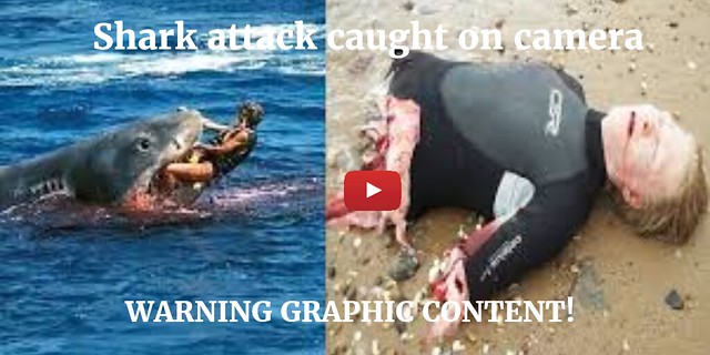 Shark attacks caught on camera. WARNING EXTREMELY GRAPHIC!