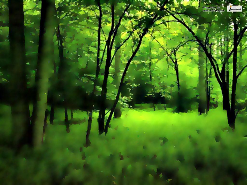 Nature wallpaper dark green forest | Nature wallpaper dark g… | Flickr