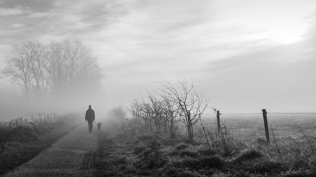 One man and his dog in the mist