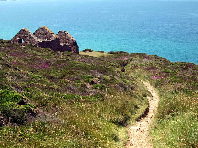 Coastal path to abandoned  019