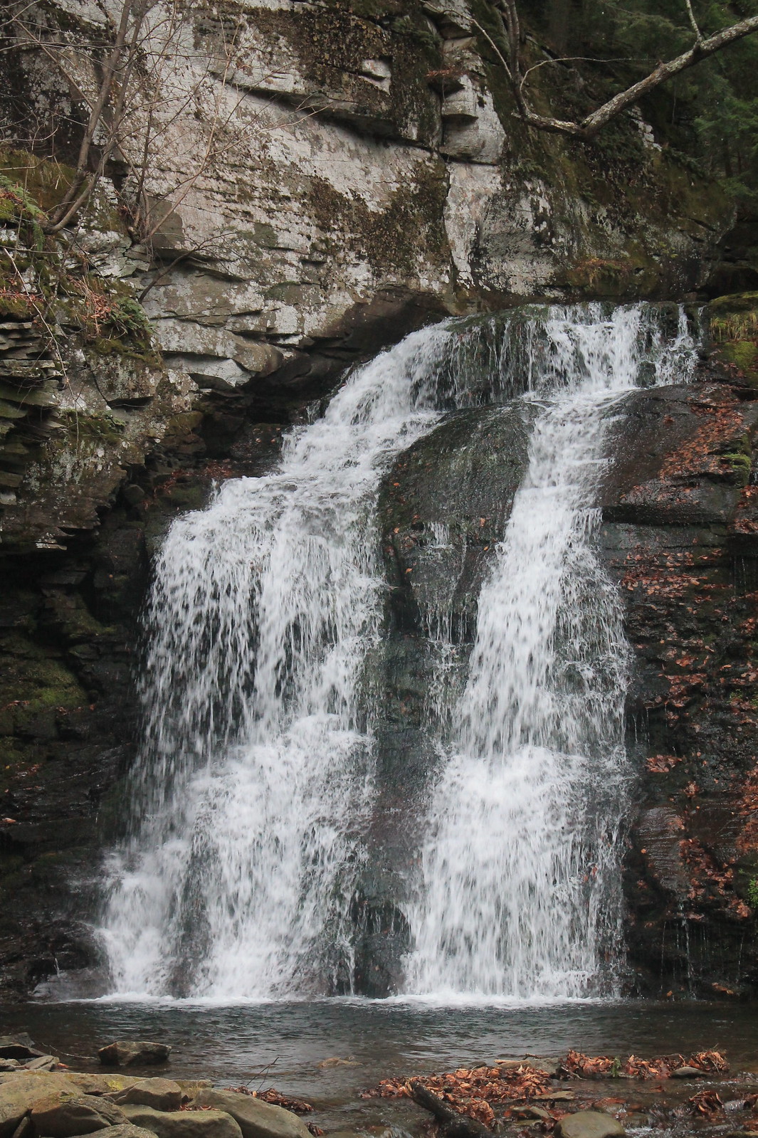 Russell Brook Falls 2