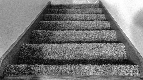 cameraphone bw white house black home apple stairs carpet blackwhite stair steps step views 365 500views 500 carpeting iphone project365 iphone5 iphone365 iphoneography snapseed