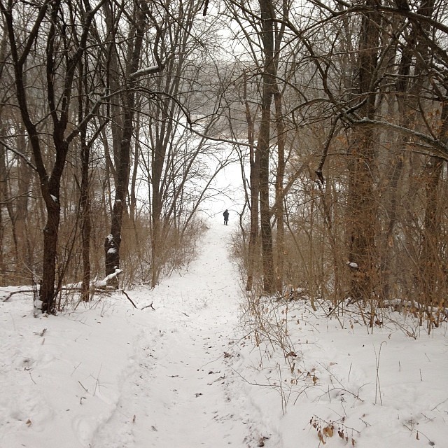 Green Unpaved Trail