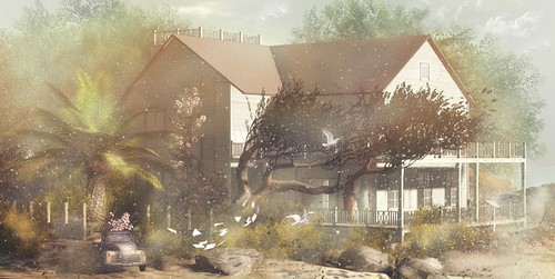 Sand storm | by Jojo Deed