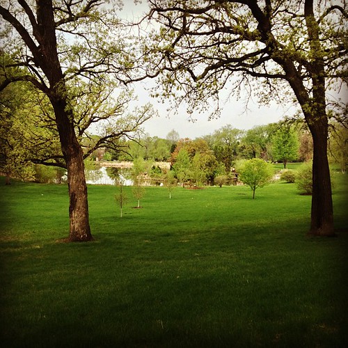 Spring Minnesota Morning What a beautiful morning. #green #rain #spring #minnesota | Flickr