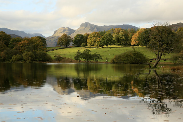 Langdale Pikes from Loughrigg Tarn