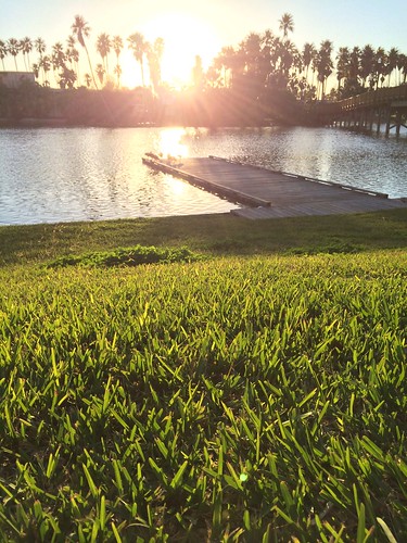 sunset sunlight grass pier palmtrees resaca uploaded:by=flickrmobile flickriosapp:filter=nofilter