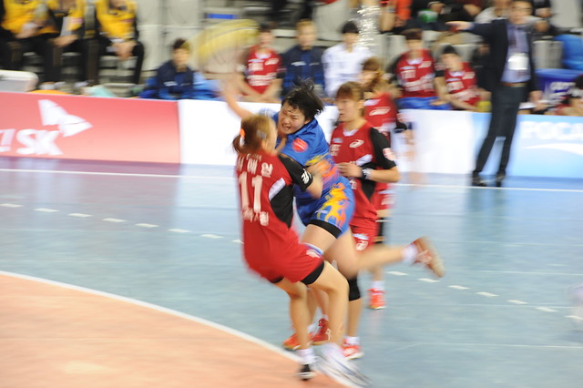 Handball Korea League 2014