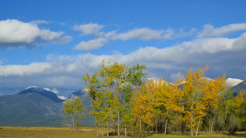 Fall Colors : Mission Mountain Range, Montana | View of Fall… | Flickr