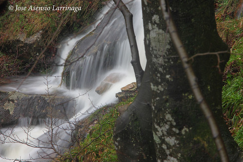 Parque natural de #Gorbeia #DePaseoConLarri #Flickr 6288