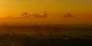 Sunrise Mist At Ducks Cross