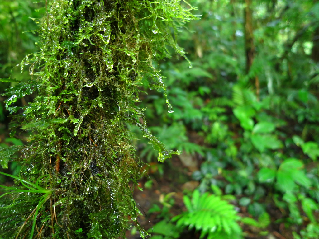 Costa Rica, 2013