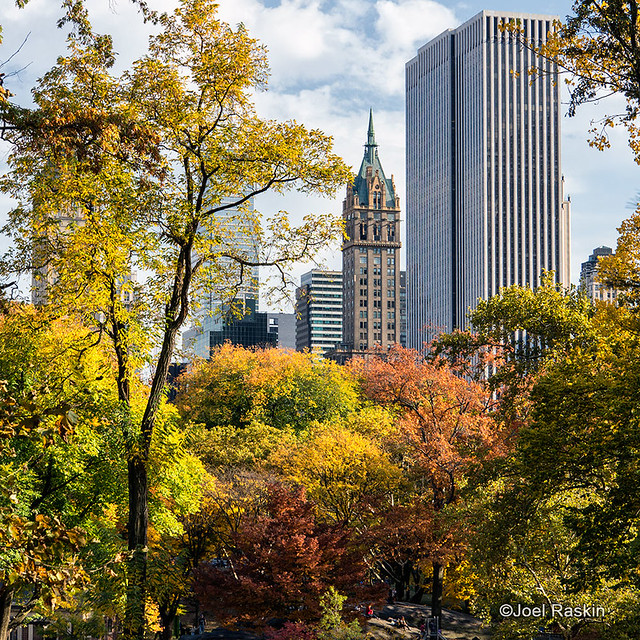 Central Park - Fall 2013