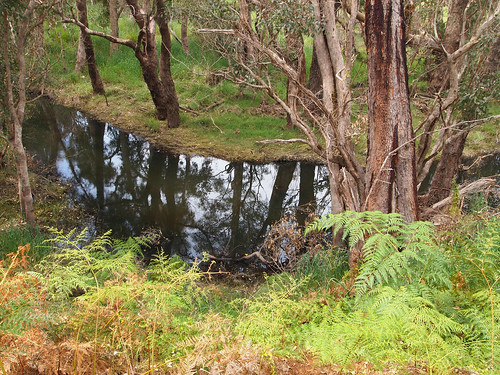 west track australia bushwalking bibbulmun kalamunda