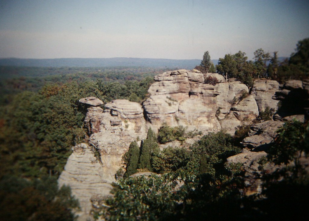 Observation Trail