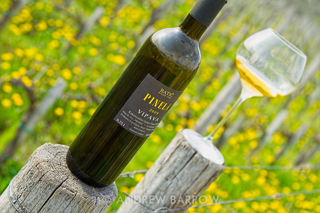 Batic Estate Pinela Vipava (Orange Wine), In The Vineyard