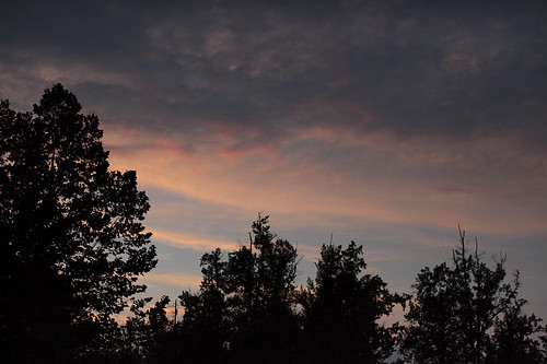 Sunset by ppro, Canon EF 50mm 1:1.8 IIusa canonef50mm118 canoneos5dmarkii matchedlenshood