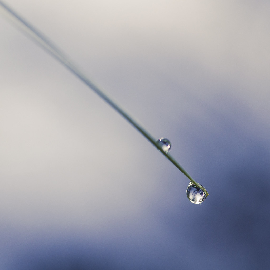 Droplet | Cédric Fayemendy | Flickr