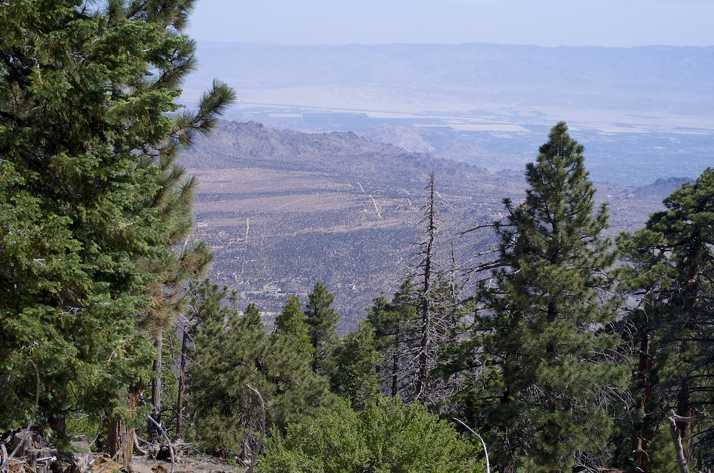 Sawmill