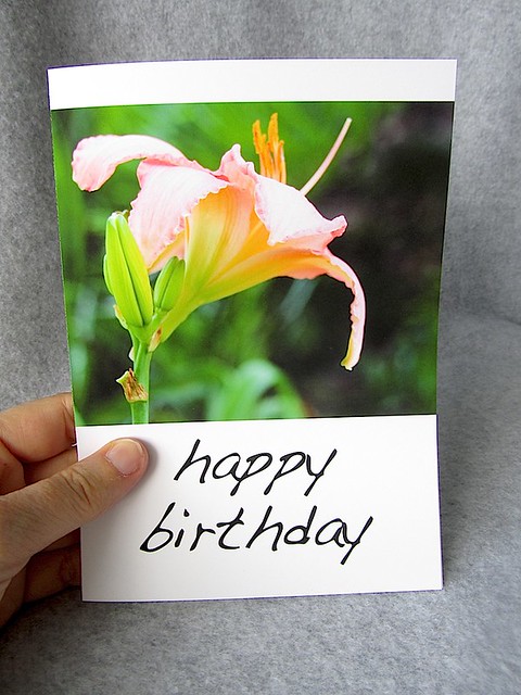 Pink Lily greeting card