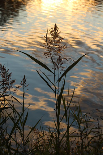 Peaceful Sunset | by dan.deschenes.56