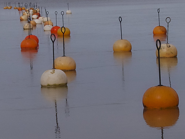 Buoys in the ice