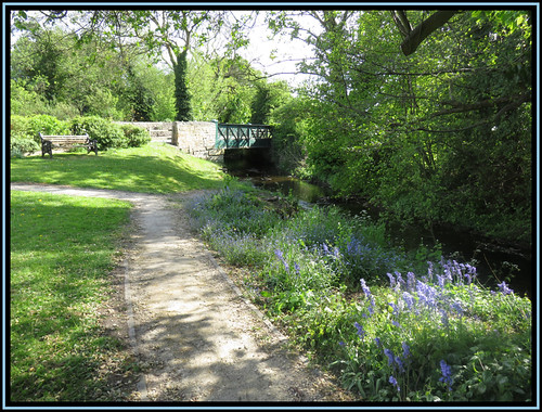 Shireoaks Village Garden | by M E For Bees (Was Margaret Edge The Bee Girl)