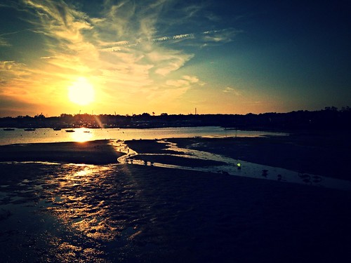 sunset ducks lowtide sunsetpark portwashington uploaded:by=flickrmobile flickriosapp:filter=nofilter