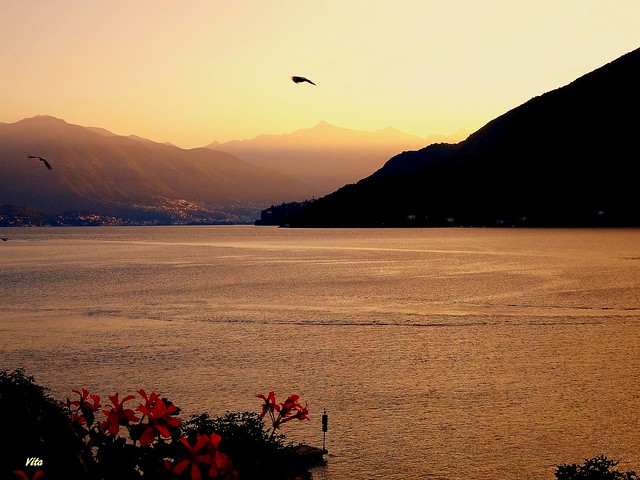 Sonnenaufgang über den Lago Maggiore