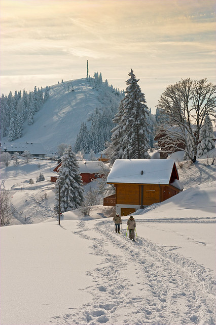 Swiss winter paradise . Tête de Ran ,Canton of Neuchâtel, Jura mountains. Switzerland. No. 3172