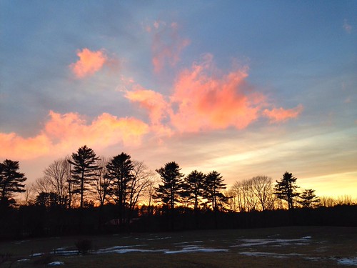 January by Amity Beane, uploaded:by=flickrmobile flickriosapp:filter=nofilter