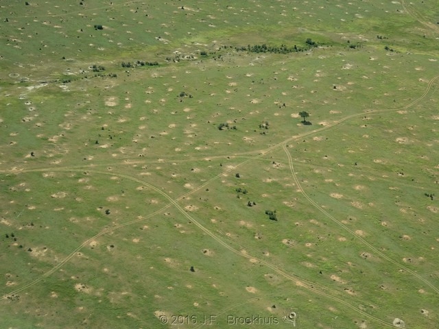 A Mara Landscape