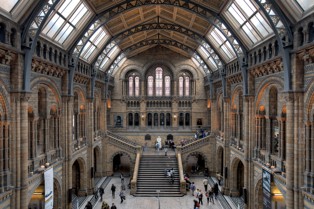 Image: Great Hall of the Natural History Museum