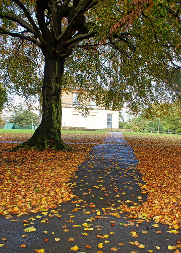 Autumn Pathway to Rosehill House | by Kerry711