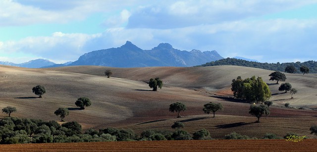 LANDSCAPE OF SOUTHERN SPAIN