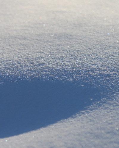 light and shadow by TDIkev, Evening sunset reflecting off the snow.winter shadow white snow dof sparkle