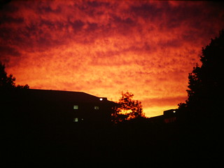 University of Illinois Sunset on Wright & Green