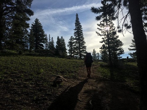 PCT: Day 83