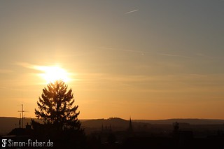 Fulda: Shining tree