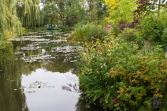 Jardins de Claude Monet (2)