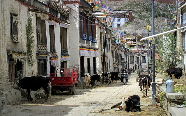 Rural life in Gyantse, Tibet