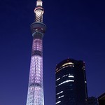 東京スカイツリー バレンタイン・スペシャルライティング　Tokyo Skytree in Valentine Specal Lighting