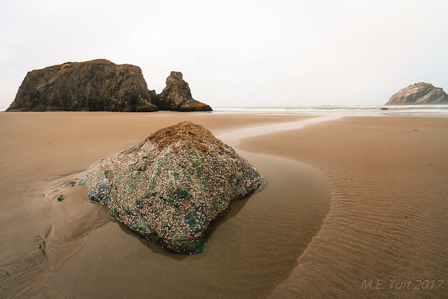 Rocks & Patterns @ the beach...
