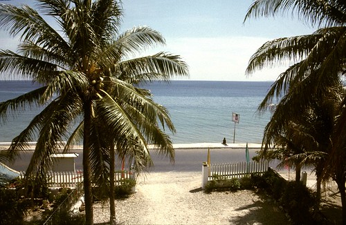 35mm indonesia seaside august palmtrees shore palmtree scanned tropical 1989 seafront timor roomwithaview asa200 guesthouse agfachrome kupang wismasuzi