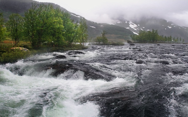 Whitewater Fed by Glacier, Norway