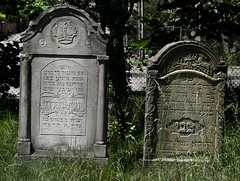 Jewish_cemetery_Sokolow_Malopolski_IMGP4711