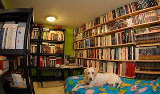 Ma Bibliotheque Et Chambre D Amis Alain Flickr