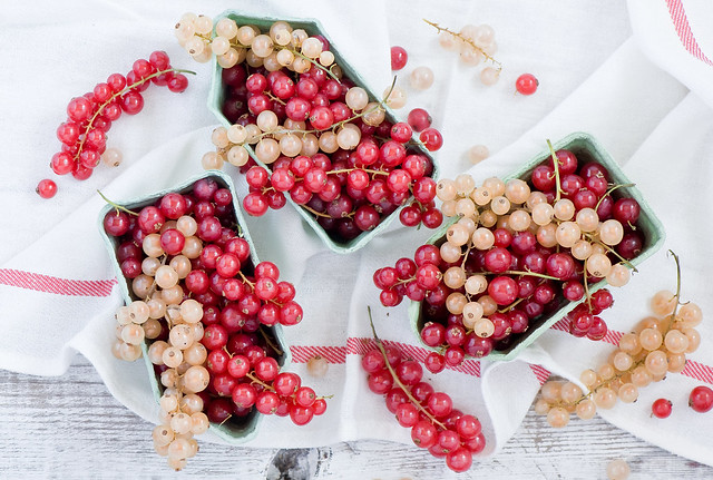 Red & white currant